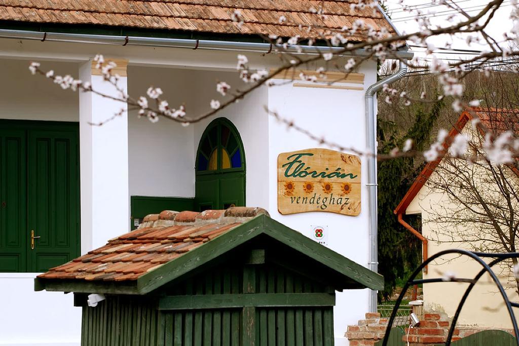 Penzion Florian Vendeghaz Villánykövesd Exteriér fotografie